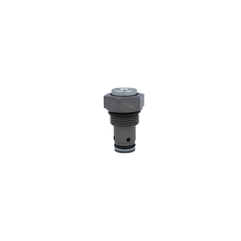 Check Valve Parts